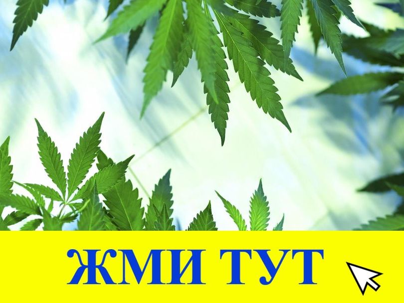 Купить наркотики в Угличе